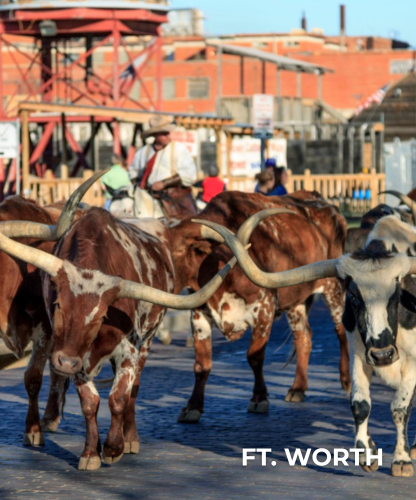 Ft. Worth